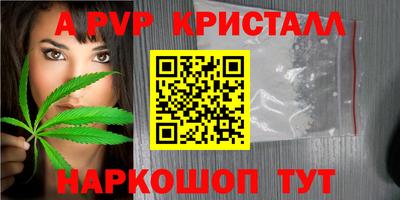 гашик Ливны