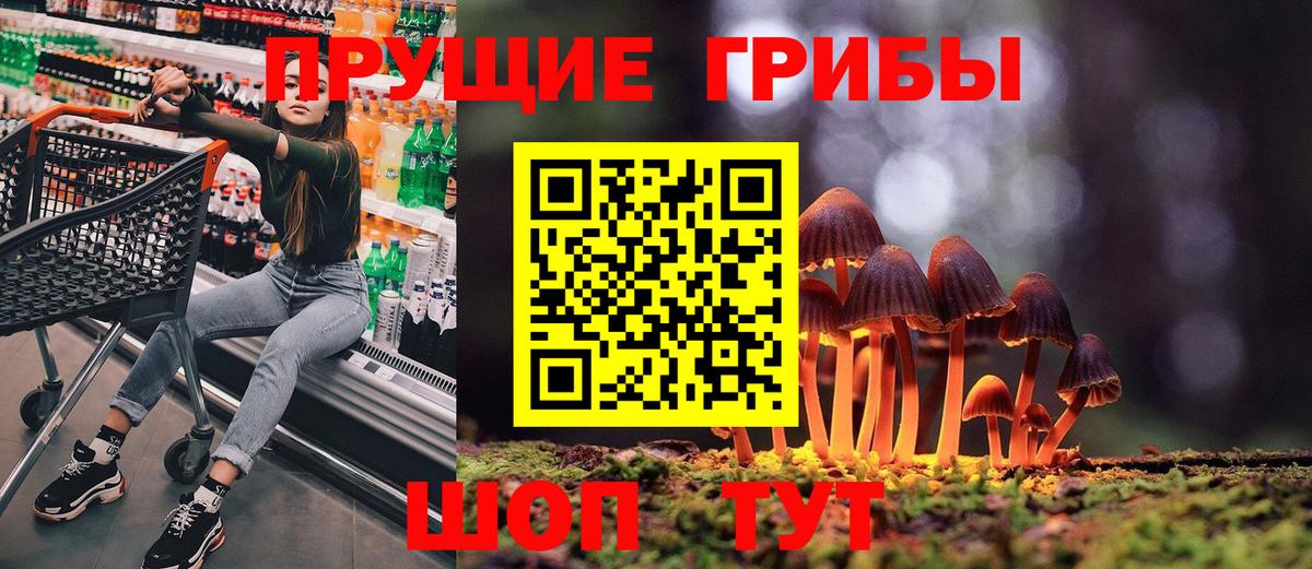 Городец  Псилоцибиновые грибы MAGIC MUSHROOMS  Псилоцибиновые грибы Psilocybine cubensis  Вход с VPN 